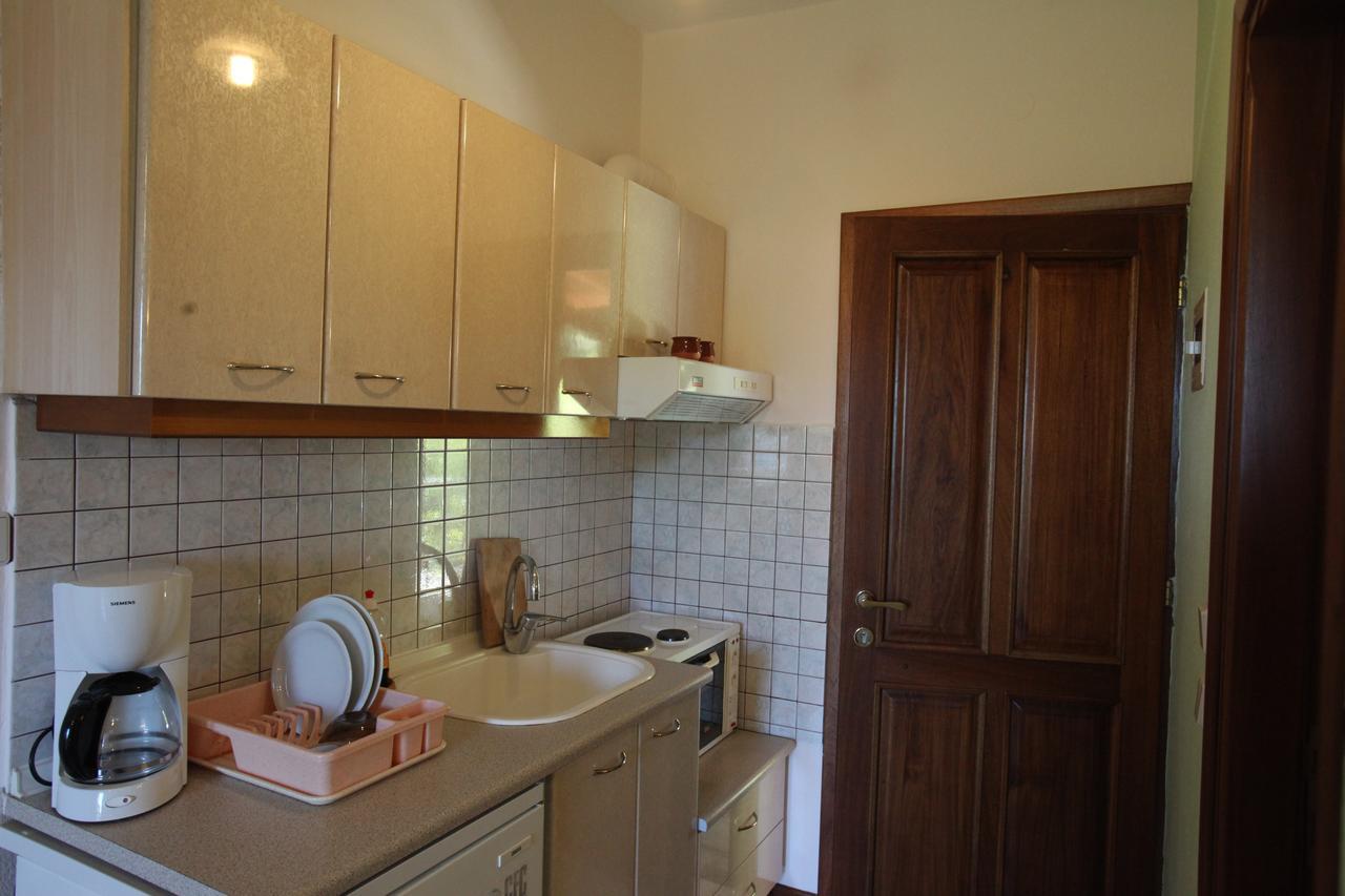 Apartment Elena &